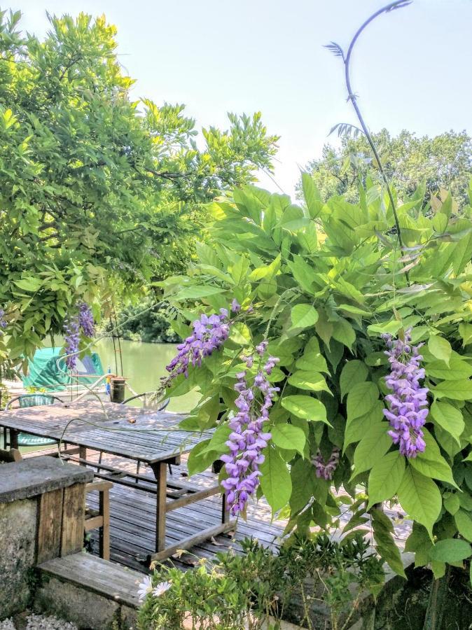 Quai Des Fleurs Bed and Breakfast Saint-Savinien Buitenkant foto