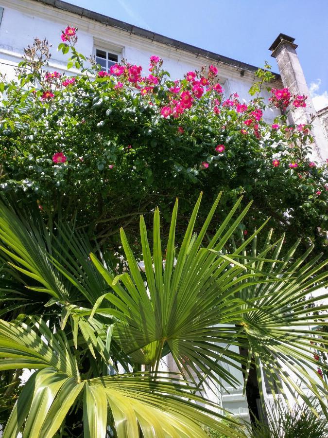 Quai Des Fleurs Bed and Breakfast Saint-Savinien Buitenkant foto